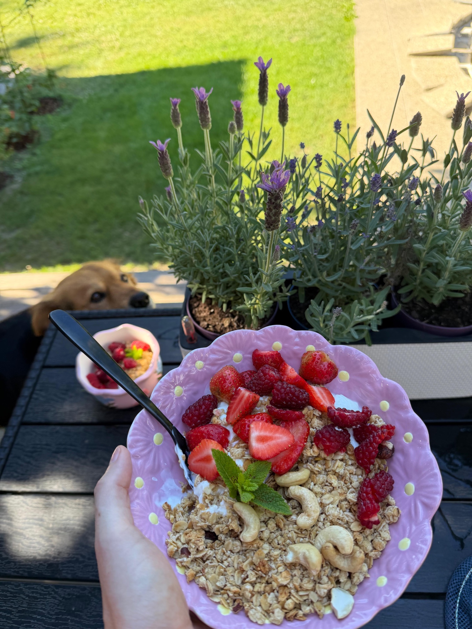 recept power kaša